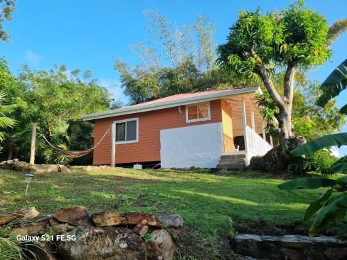 a small house with a tree in the yard at Frenchy's in Providencia
