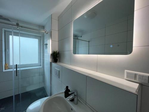 Simplex Apartments In Bruchsal في بروشسال: حمام مع حوض ومرآة