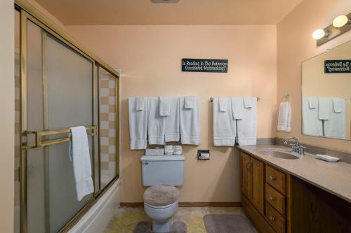 a bathroom with a toilet and a sink and a shower at Agate Bay Ranch in Carnelian Bay