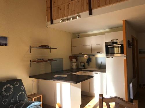 Appartement Corrençon-en-Vercors, 3 pièces, 8 personnes - FR-1-515-116にあるキッチンまたは簡易キッチン