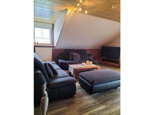 a living room with a couch and a tv at Holiday apartment Stephanie Ahlborn in Schönhagen