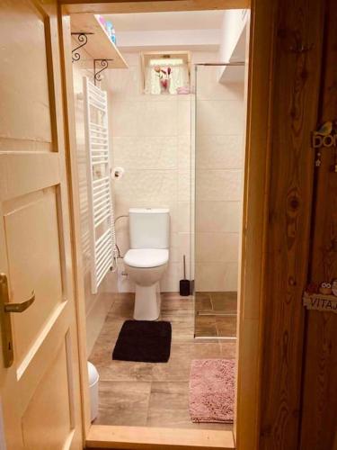 a small bathroom with a toilet and a shower at Tradičná kopaničiarska chalupa in Košariská-Priepasné