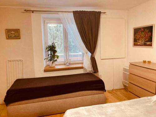 a bedroom with a bed and a window at Tradičná kopaničiarska chalupa in Košariská-Priepasné