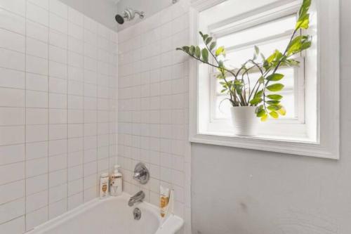 a bathroom with a tub and a window with a potted plant at Charming Little Italy Baltimore Gem in Baltimore