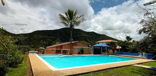 a pool in front of a house with a palm tree at shevabrajot in Pasto