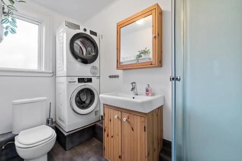 a bathroom with a sink and a washing machine at Venture Vacations-Cultural Gem in the Heart of Central Reykjavík in Reykjavík