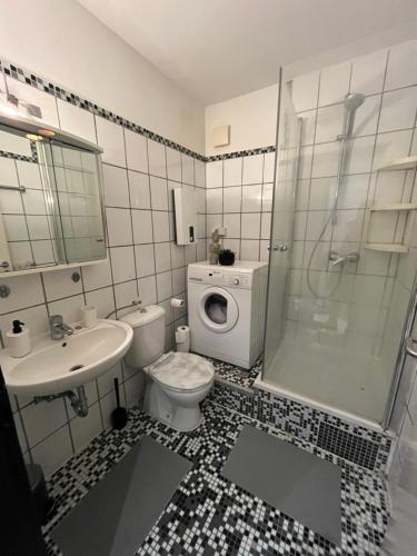 La salle de bains est pourvue de toilettes, d'un lavabo et d'une douche. dans l'établissement Simplex Apartments Am Marktplatz, à Karlsruhe
