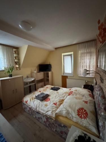 a bedroom with a bed and a desk and windows at Pfefferberg in Ziegenrück