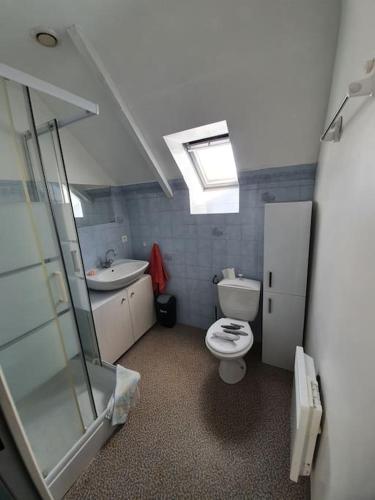 La salle de bains est pourvue de toilettes, d'un lavabo et d'une lucarne. dans l'établissement Maison dans un quartier calme, terrain, wifi, télé, à Saint-Nicolas-du-Pélem