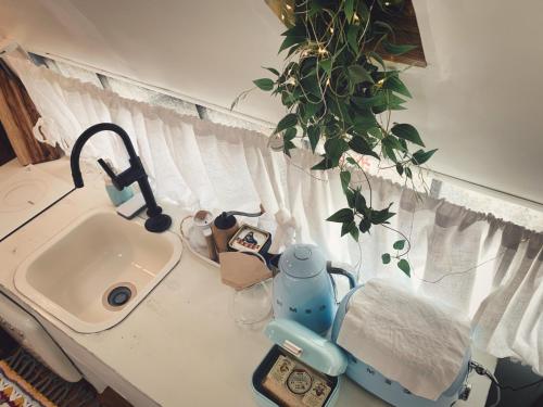 a kitchen counter with a sink and a plant at BeachBoys - Retro Caravan AirStream in Jeju