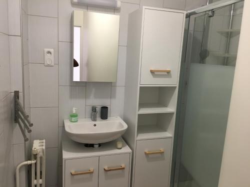 a white bathroom with a sink and a shower at Charmant duplex aux portes de Paris in Bagneux