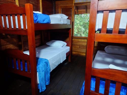 Cette chambre comprend 2 lits superposés et une fenêtre. dans l'établissement Paraíso Verde Lodge, à Quibdó