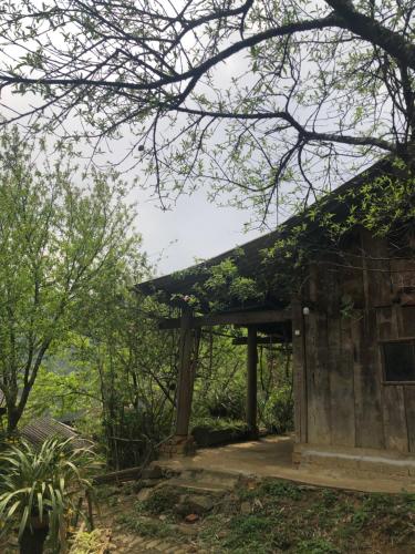 um edifício antigo no meio de uma floresta em `Sin Chai Homestay em Sapa
