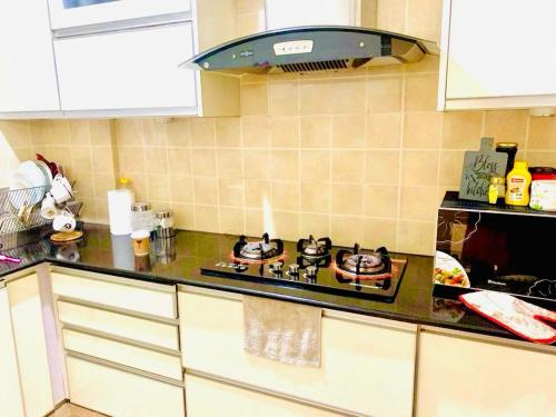 a kitchen with a stove top oven in a kitchen at Zephyr Lodge in Islamabad