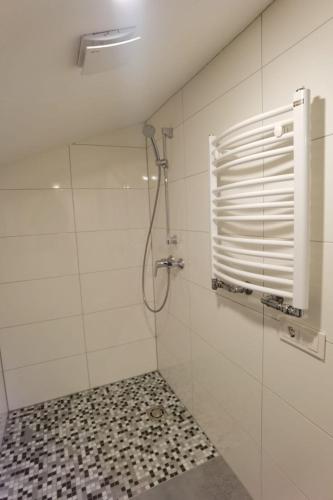 een badkamer met een douche en een raam bij Pakalnės sodyba in Skverbai