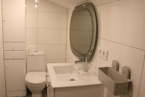 een badkamer met een toilet, een wastafel en een spiegel bij Pakalnės sodyba in Skverbai
