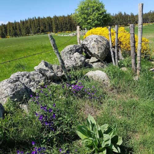 Zahrada ubytování Gîte à la campagne 3 * proche A75 en Margeride.