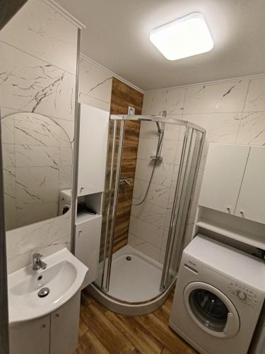 a bathroom with a shower and a sink and a washing machine at Miętówka in Żywiec