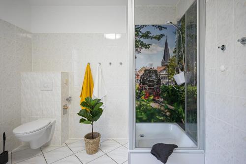 ein Bad mit einer Dusche, einem WC und einem Waschbecken in der Unterkunft Appartement am Westerntor III in Wernigerode