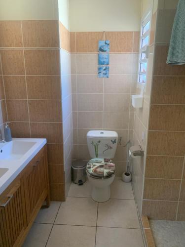 ein Bad mit einem WC und einem Waschbecken in der Unterkunft Les Hibiscus in Saint-Philippe