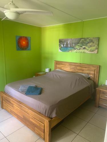 Bett in einem Zimmer mit grünen Wänden in der Unterkunft Les Hibiscus in Saint-Philippe