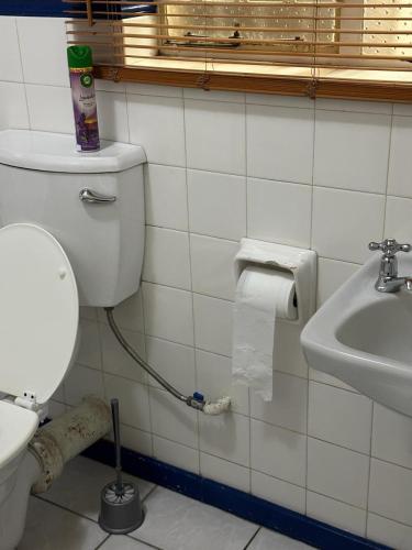 a bathroom with a toilet and a sink at Taznet Homes - 3 Bedroomed House in Edenvale