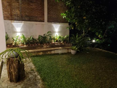 a garden at night with plants and lights at River Front Villa in Wadduwa