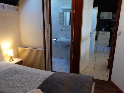 a bedroom with a bed and a bathroom with a sink at Ferienhaus am Silbersee 86 in Frielendorf