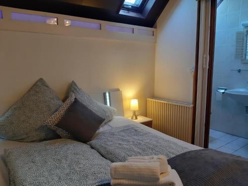ein Schlafzimmer mit einem Bett und ein Badezimmer mit einem Waschbecken in der Unterkunft Ferienhaus am Silbersee 86 in Frielendorf