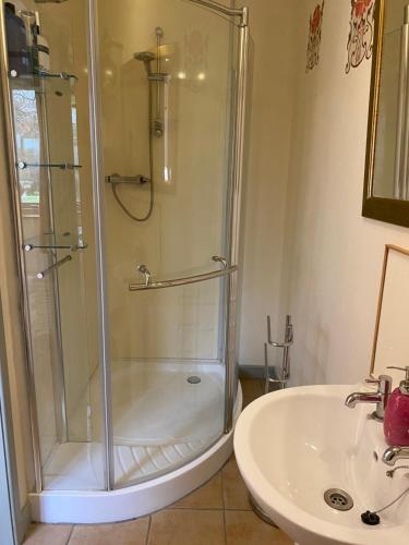 een badkamer met een douche en een wastafel bij Myrtleberry Studio in Castlemorton