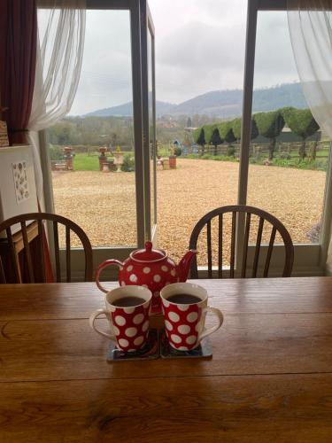 two tea cups sitting on a table in front of a window at Myrtleberry Studio BnB in Castlemorton