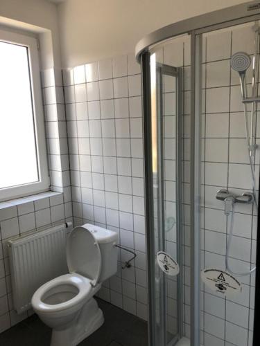 a bathroom with a toilet and a shower at UBYTOVNA SK Posázavan Poříčí nad Sázavou in Poříčí nad Sázavou