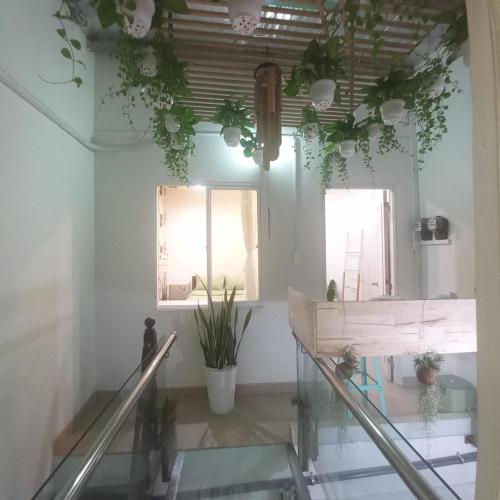 胡志明市的住宿－Garden House，天花板上挂有植物的房间