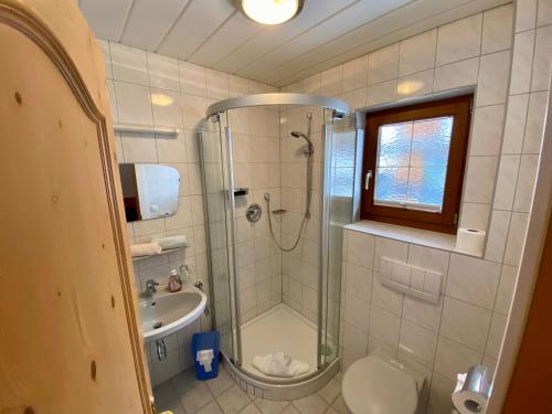 a bathroom with a shower and a toilet and a sink at Apartment Seespitz in Längenfeld