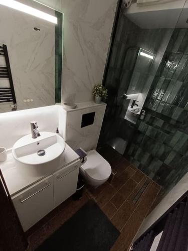 a bathroom with a toilet and a sink and a shower at Callisto studio in Thessaloniki