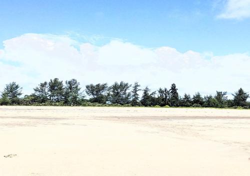 Plage de l'hôtel ou située à proximité