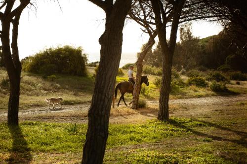 Gallery image of Kampaoh Tarifa in Tarifa