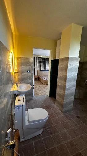 a bathroom with a toilet and a sink at Annaye Apartment in Addis Ababa