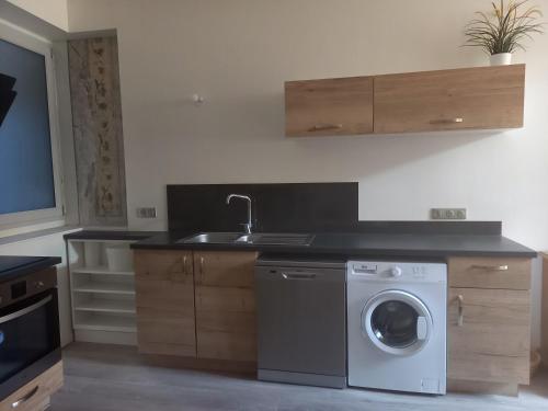 une cuisine avec une machine à laver et un évier dans l'établissement Les Meublés du Colombier, à Lons-le-Saunier