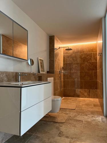uma casa de banho com um chuveiro, um lavatório e um WC. em Gartenwohnung im modernen Stil em Unterkulm