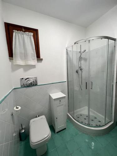 un baño con ducha y WC en Nel cuore della città, en Siena