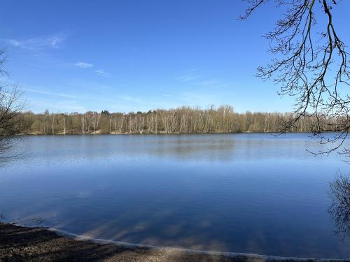 a large blue lake with trees in the background at Fewo am Tillysee in Wardenburg in Wardenburg