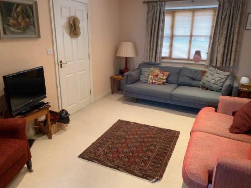 ein Wohnzimmer mit Sofa und Fernseher in der Unterkunft Sweet Modern Country Cottage with Garden in Frome
