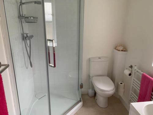 a bathroom with a toilet and a glass shower at Sweet Modern Country Cottage with Garden in Frome