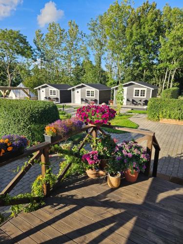 a bunch of flowers in pots on a wooden table at Kaptenshuset Hotell in Kivik