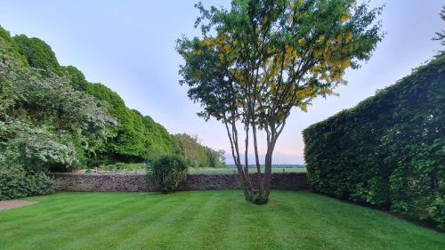 a tree in the middle of a green yard at Charlton Down Cottage in Tetbury
