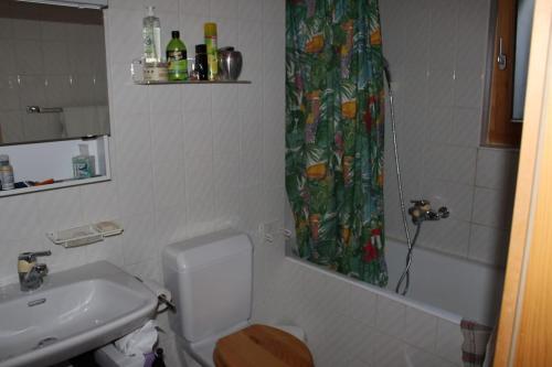 łazienka z toaletą, umywalką i zasłoną prysznicową w obiekcie Beautiful appartment in Les Diablerets w mieście Les Diablerets