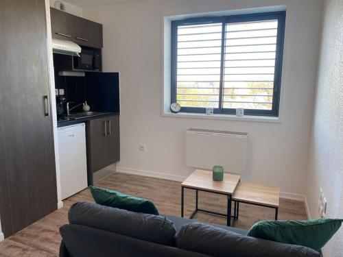 un salon avec un canapé et une table dans l'établissement La Suite Griffon - Parking & Balcon, à Toulouse