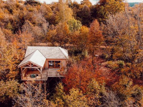 an overhead view of a wooden house in the woods at Cabanes du Hérisson, cabanes perchées de standing avec spa in Bonlieu