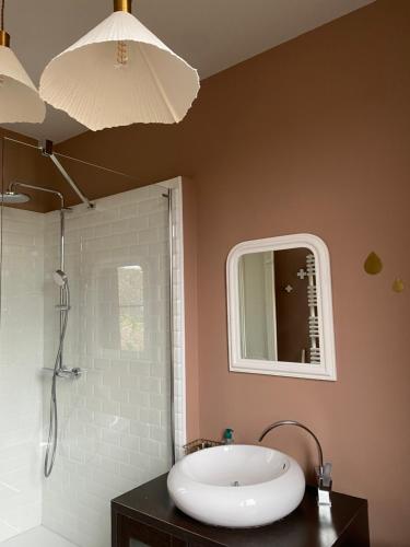 une salle de bain avec un lavabo et un miroir dans l'établissement La suite & Caux 2, à Cany-Barville